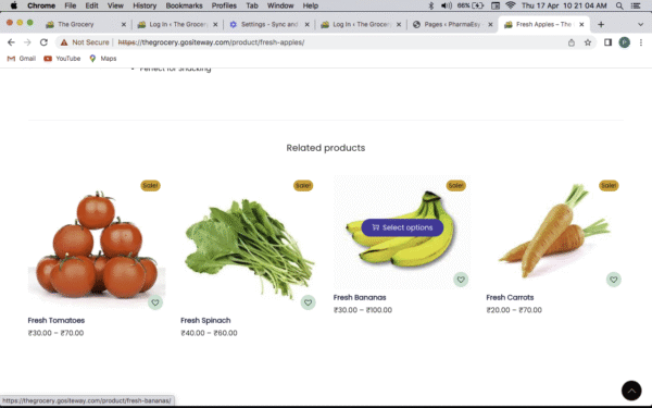 All-in-One Multi Store Grocery Website – Delivery & Pickup Ready - Image 8
